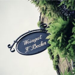 weingut4