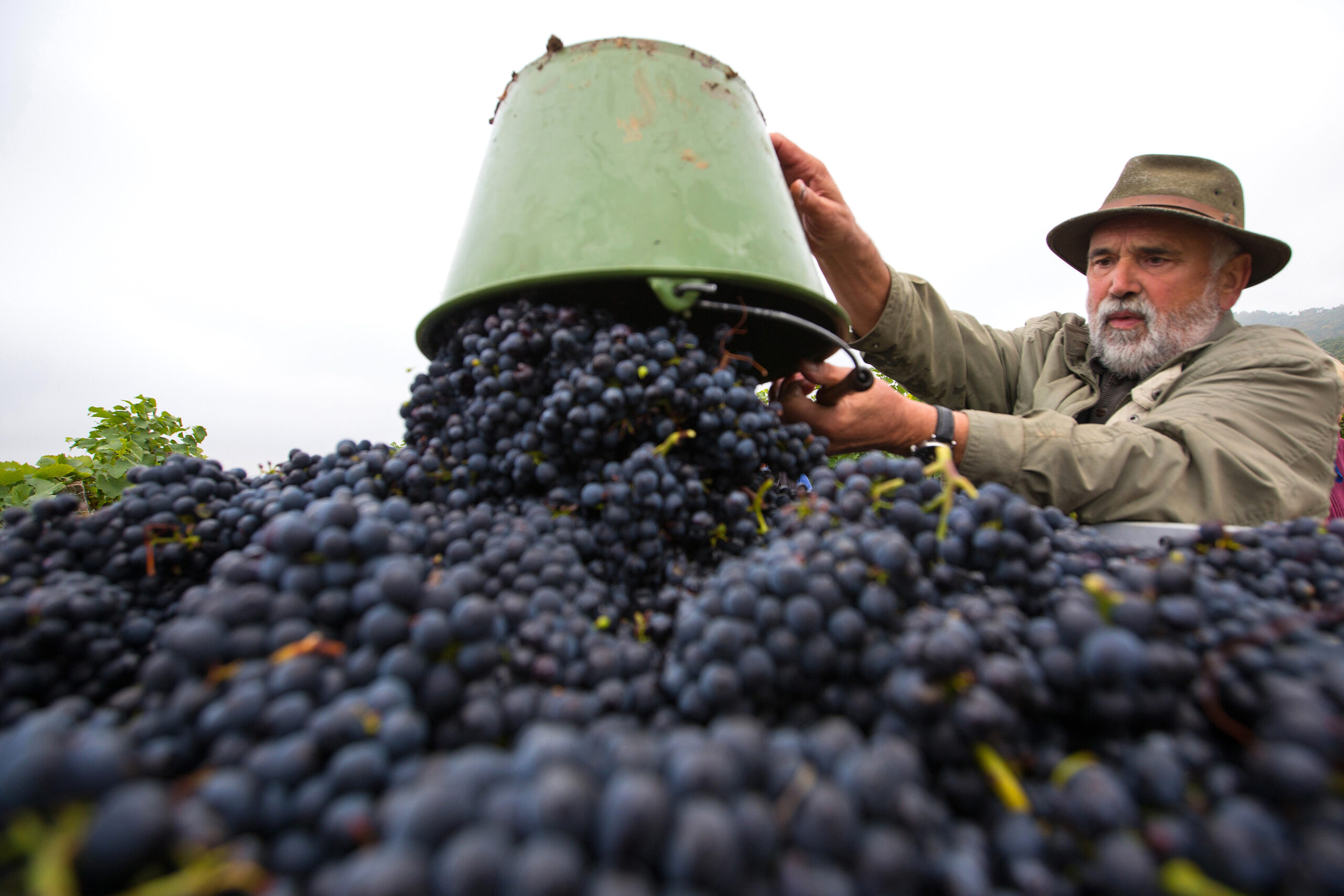 12Unser Weingut_Handwerk_Bild 5