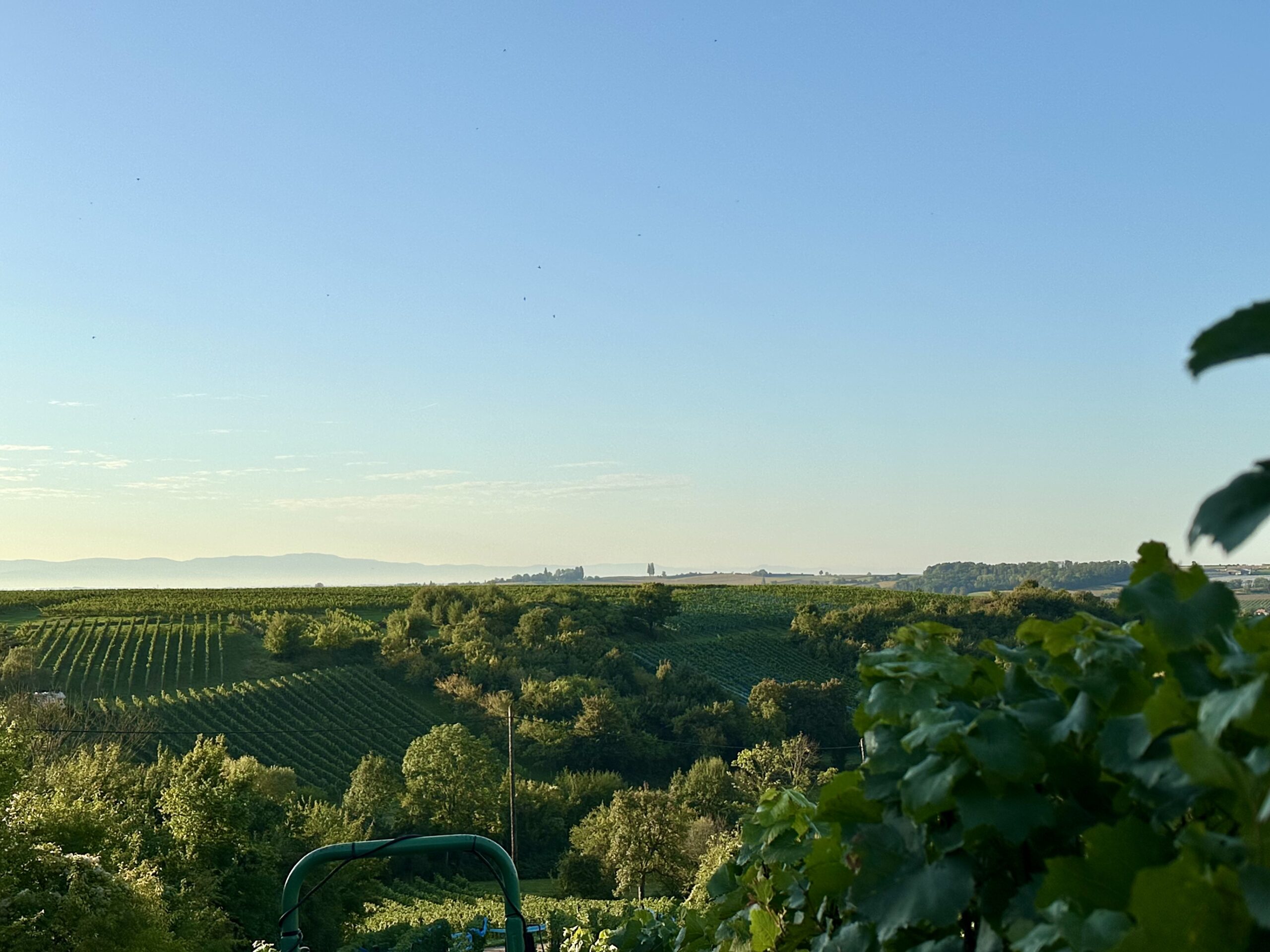 14Unser Weingut_Besuch_Bild 1