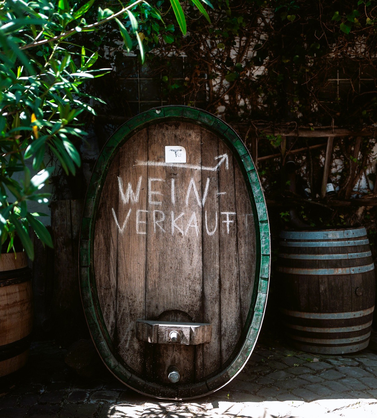 15Unser Weingut_Besuch_Bild 2