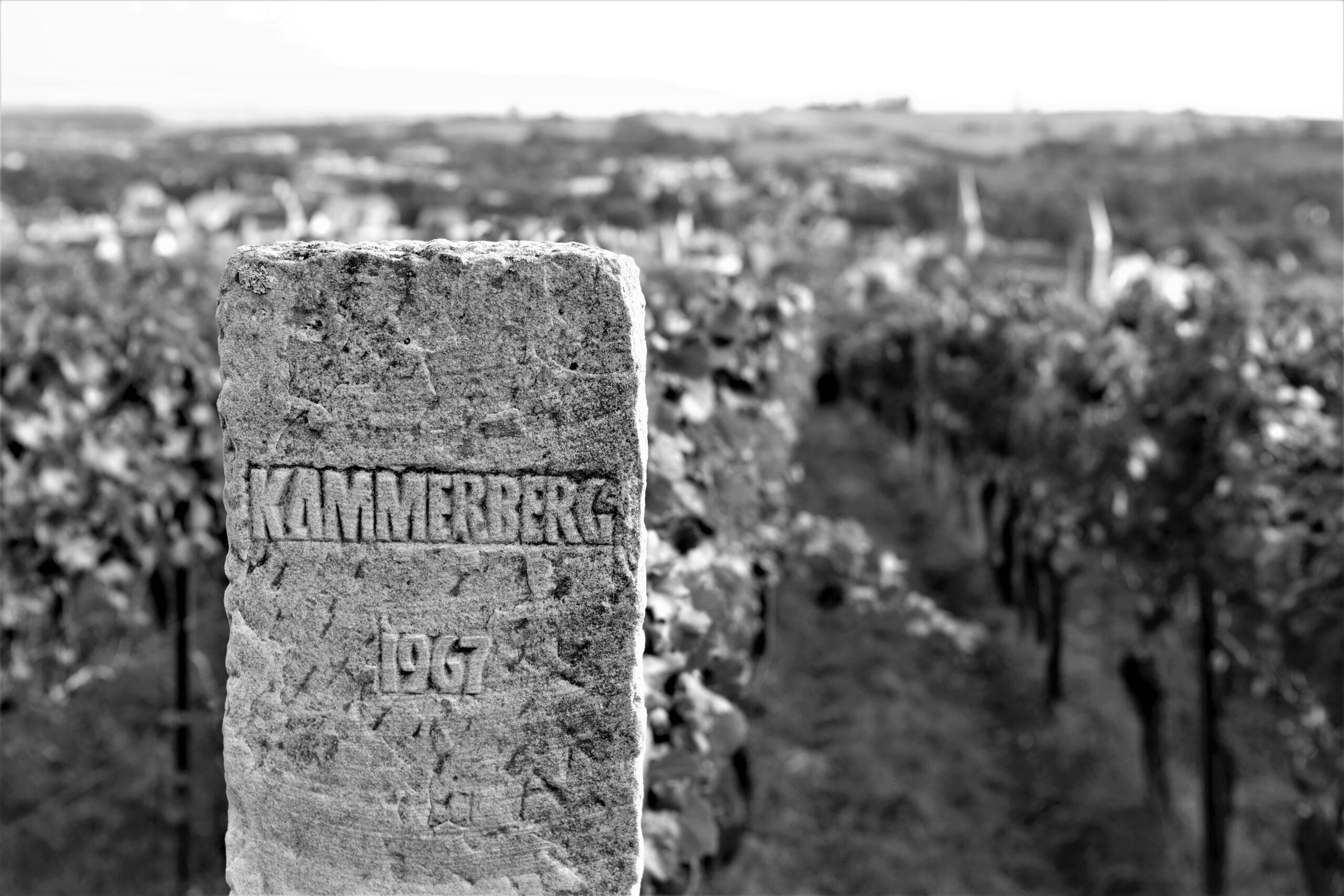 4Unser Weingut_Historie_Bild1
